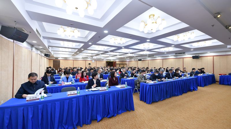 心理咨询师二级与三级：能力层级与职业发展的差异**