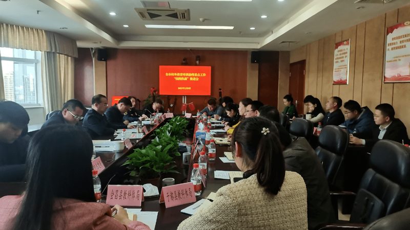 心理咨询师二级与三级：实用性的深度解析